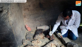 جانب من الاكتشافات الأثرية