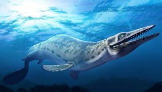 العثور على حفريات بحيرة ضخمة لزواحف تشبه الديناصورات - أرشيفية