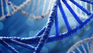 ختام فعاليات المؤتمر الدولي السابع للاضطرابات الجينية - صورة أرشيفية