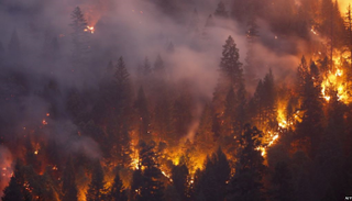 حرائق الغابات في كاليفورنيا