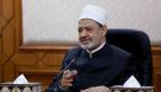 شيخ الأزهر: نعمل جنبا إلى جنب مع الجيش المصري ضد الإرهاب