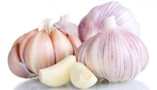 الثوم يحارب الإنفلونزا والسرطان