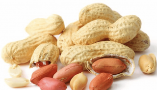 فوائد الفول السوداني للريجيم والصحة