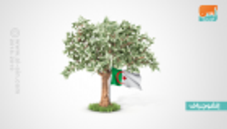 إنفوجراف.. موازنة الجزائر لعام 2019 بالأرقام