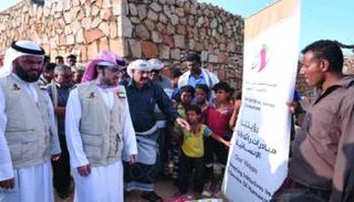 وفد من مؤسسة "خليفة الإنسانية" يزور جزيرة سقطرى - أرشيفية