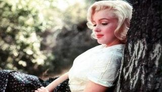 الممثلة الأمريكية الراحلة مارلين مونرو
