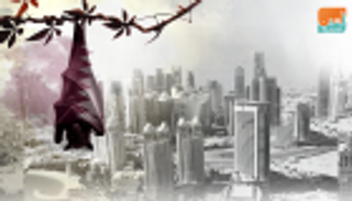 سوق عقارات قطر ..ركود في البيع والشراء وهروب الاستثمارات