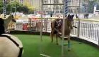 بالفيديو.. غضب في الصين بعد استخدام خيول حقيقية في لعبة ملاهي