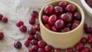 مادة سكرية في التوت البري تكافح السرطان