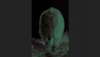 اكتشاف كائن بحجم الفيل عاصر الديناصورات في بولندا