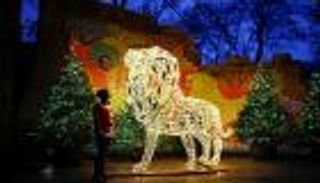 بالصور.. حديقة حيوان لندن تتألق بنماذج مضيئة للحيوانات