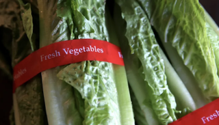 الخس الرومي قد يكون المتسبب في تفشي بكتيريا الإشريكية القولونية