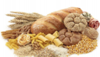 الغذاء عالي الكربوهيدرات يحمي من الخرف