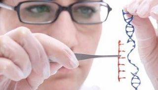 تعديل الجينات يثير صدمة في الصين