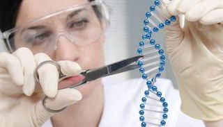 علماء يؤكدون أن تعديل جينات البشر "جنوني" و"لا أخلاقي"