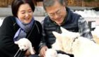 "جراء صغيرة".. دليل التقارب بين الكوريتين