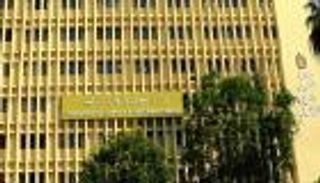 مصر تشتري 50 ألف طن زيوت صويا ودوار الشمس