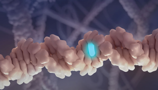 وقف أبحاث تعديل الجينات البشرية في الصين مؤقتاً