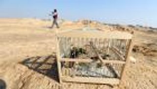 صائد الطيور المغردة.. أحلام مجهضة على أطلال مطار غزة الدولي