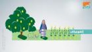 إنفوجراف.. قمة العشرين.. اجتماع الكبار لتعزيز استقرار أمن الغذاء