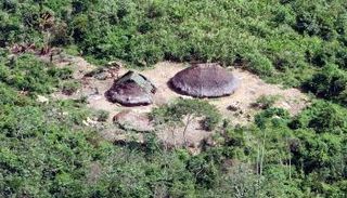 قبائل غابة الأمازون المنعزلة عن العالم أمام مخاطر متنامية