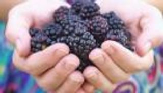 8 أطعمة لتعزيز المناعة في الشتاء