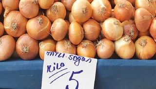 أسعار البصل في تركيا تواصل الارتفاع