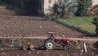 مصر تستهدف زيادة الاستفادة من مياه الأمطار في الزراعة