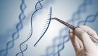"الصحة العالمية" تشكل لجنة خبراء لإعداد دراسات حول التعديل الوراثي