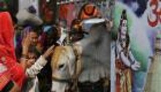 مقتل شخصين في أحداث عنف بالهند بعد ذبح بقرة