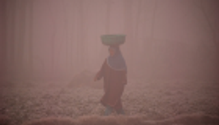 تلوث الهواء يحصد أرواح 1.2 مليون هندي في 2017