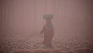  الهند تضم 14 من أكثر المدن تلوثا في العالم