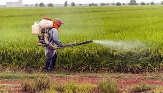 علماء يحذرون من مبيدات حشرية تسبب إعاقة ذهنية للأطفال