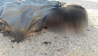 أحد الإرهابيين القتلى في مواجهات مع الأمن