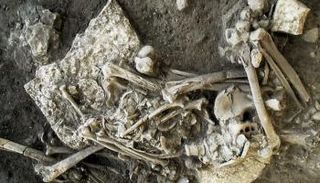 العثور على البكتيريا المسببة للطاعون في هيكل عظمي يعود لـ٤٩٠٠ عام