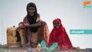 إنفوجراف.. اليوم العالمي لحقوق الإنسان