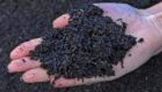 باحث إماراتي: نستغل مخلفات 40 مليون نخلة لإنتاج الفحم النباتي