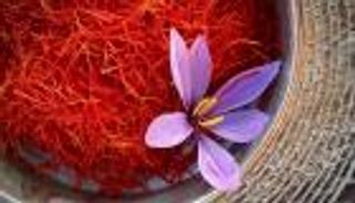 المغرب.. التزييف يهدد إنتاج "الزعفران الحر"
