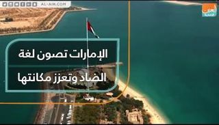 أطلقت دولة الإمارات الكثير من المبادرات لصون اللغة العربية