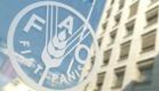 الاتحاد الأوروبي وفرنسا يرشحان كاترين لانييل لرئاسة منظمة الفاو