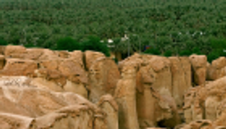 الأحساء.. موطن الحضارات القديمة وواحات النخيل الغناء في السعودية