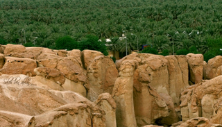 محافظة الأحساء السعودية