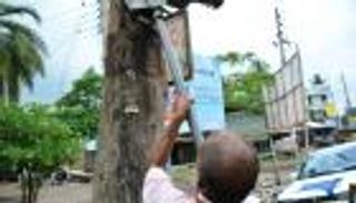 بالصور.. بنغالي  ينقذ الشجر للحفاظ على توازن الطبيعة