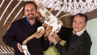 حفرية الديناصور بعد تحريرها من الصخور