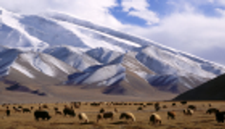 "شينجيانج" الصينية تغلق 284 بئرا نفطية لحماية البيئة الإيكولوجية