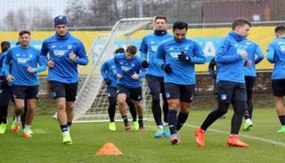 تدريبات هوفنهايم