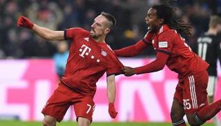 فرحة ريبيري