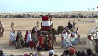 مهرجان الصحراء الدولي في تونس - أرشيفية