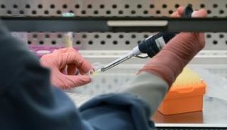 أحد أفراد الفريق البحثي بمعهد باستور خلال إجراء التجارب