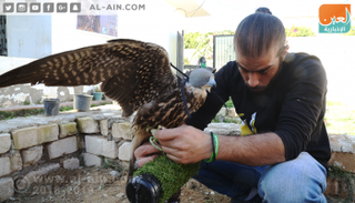 أحد مربي الصقور في مصر